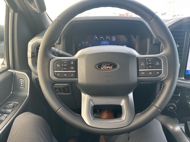 2025 Ford F-150 XLT Watertown SD
