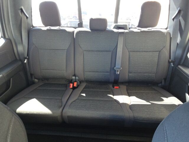 2025 Ford F-150 XLT Watertown SD