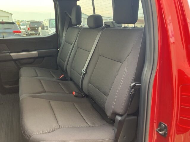 2025 Ford F-150 XLT Watertown SD