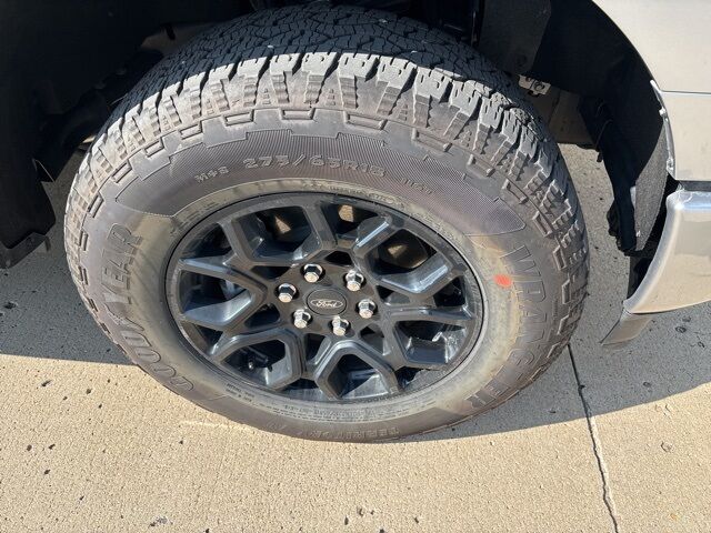 2025 Ford F-150 XLT Watertown SD
