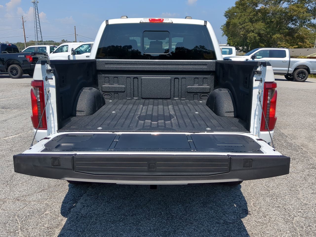 2025 Ford F-150 XLT Winder GA