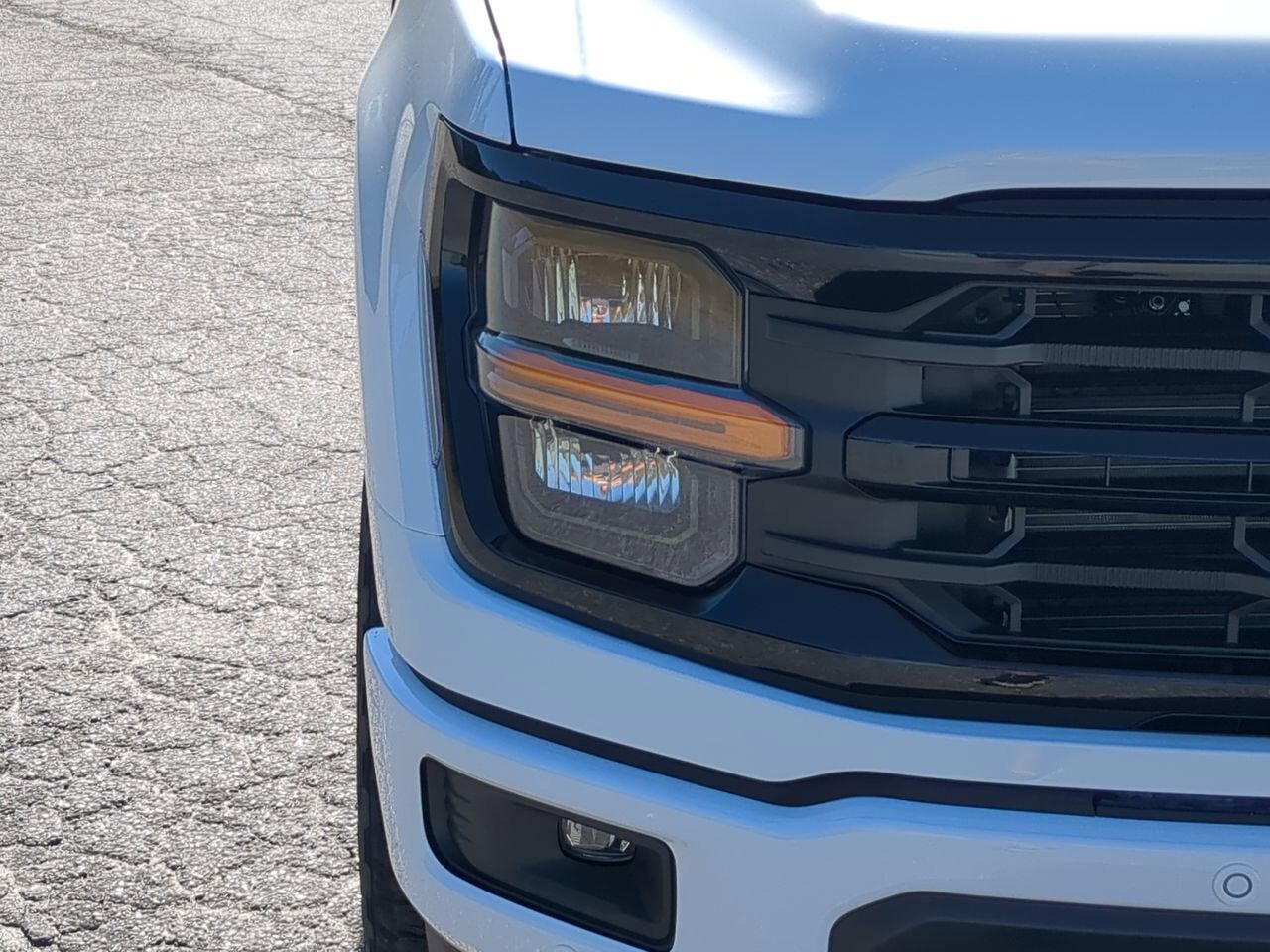 2025 Ford F-150 XLT Winder GA