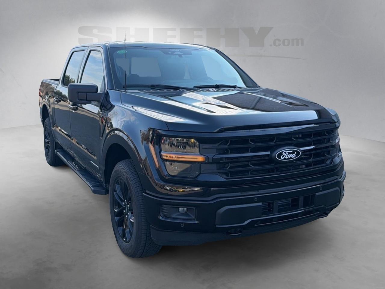 2025 Ford F-150 XLT Ashland VA