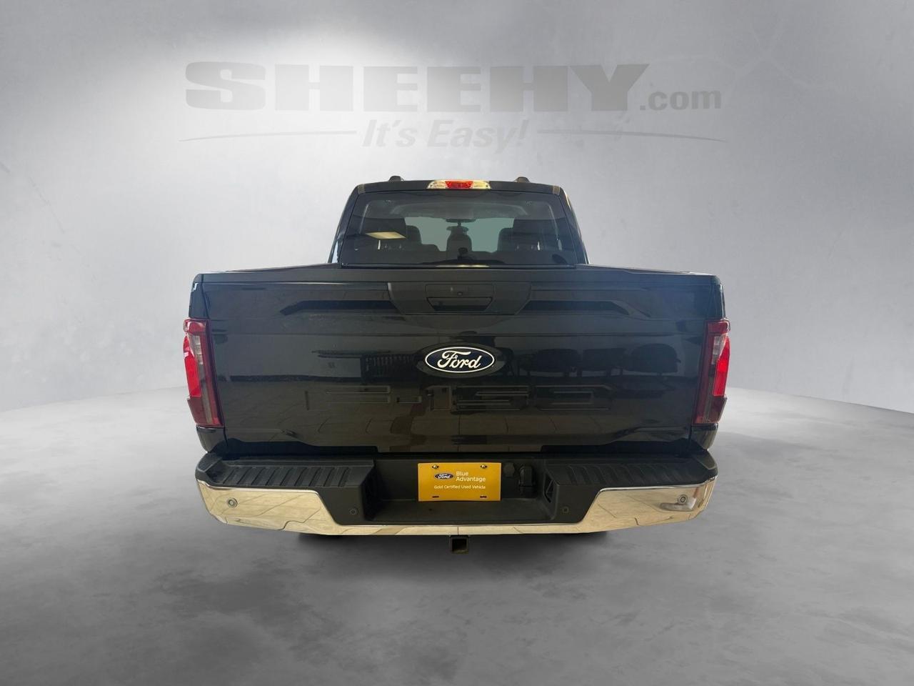 2025 Ford F-150 XLT Richmond VA