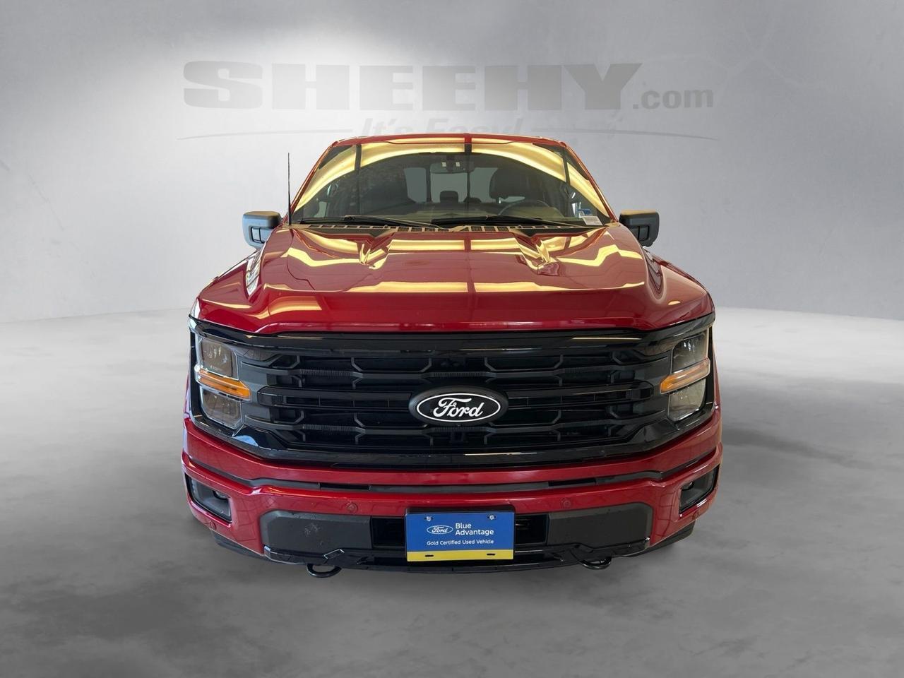 2025 Ford F-150 XLT Richmond VA