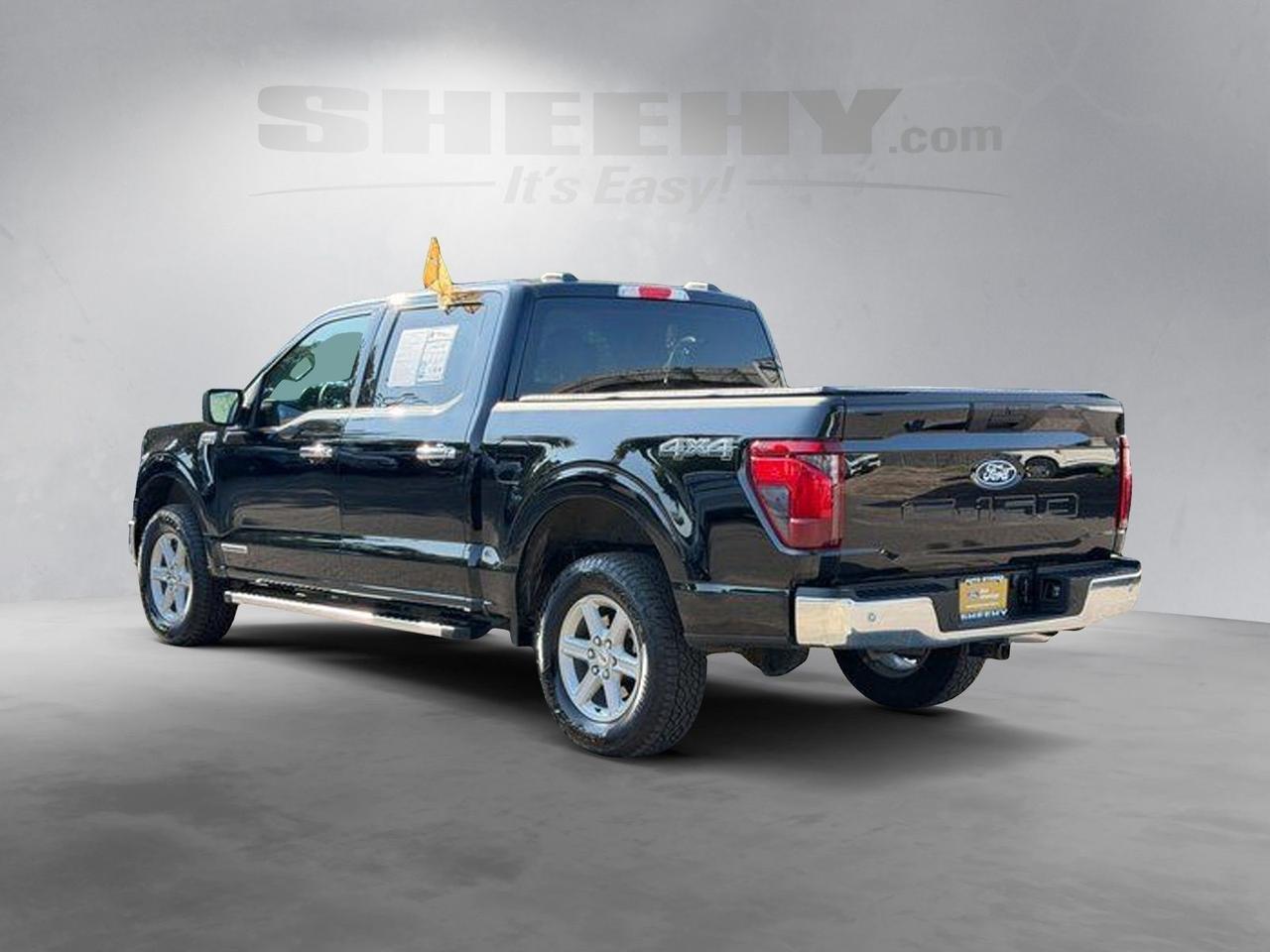 2025 Ford F-150 XLT Springfield VA