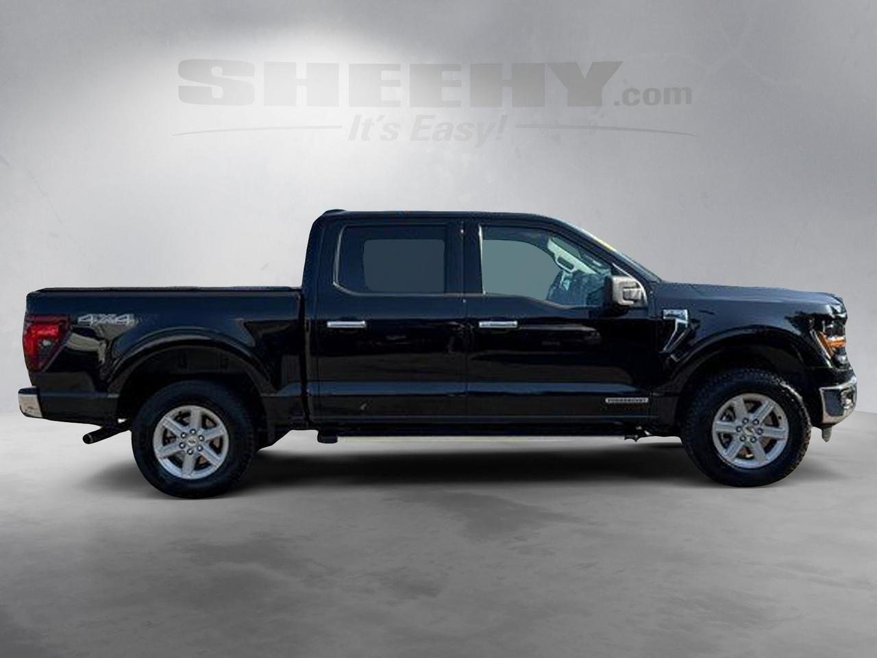 2025 Ford F-150 XLT Springfield VA