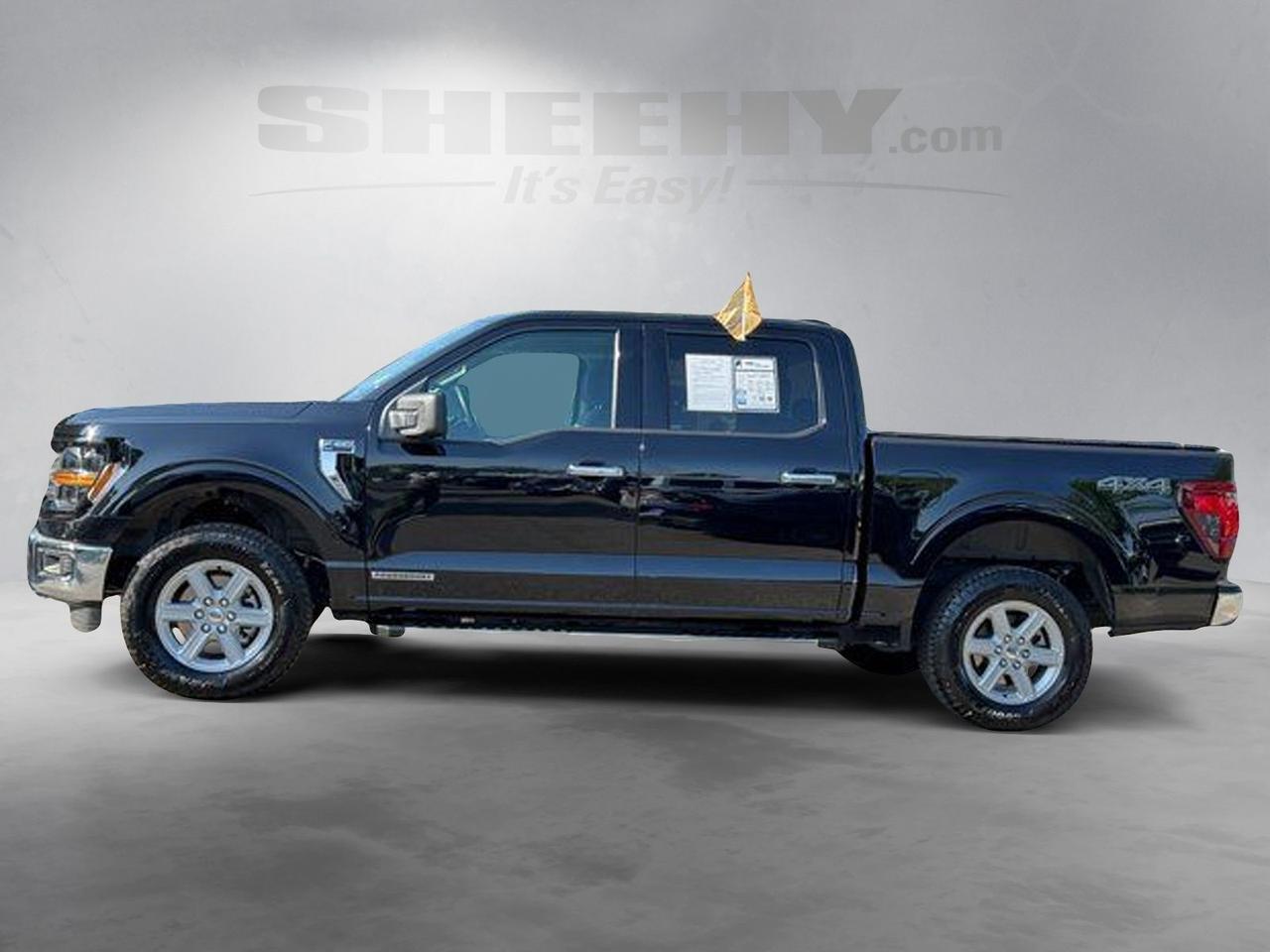 2025 Ford F-150 XLT Springfield VA