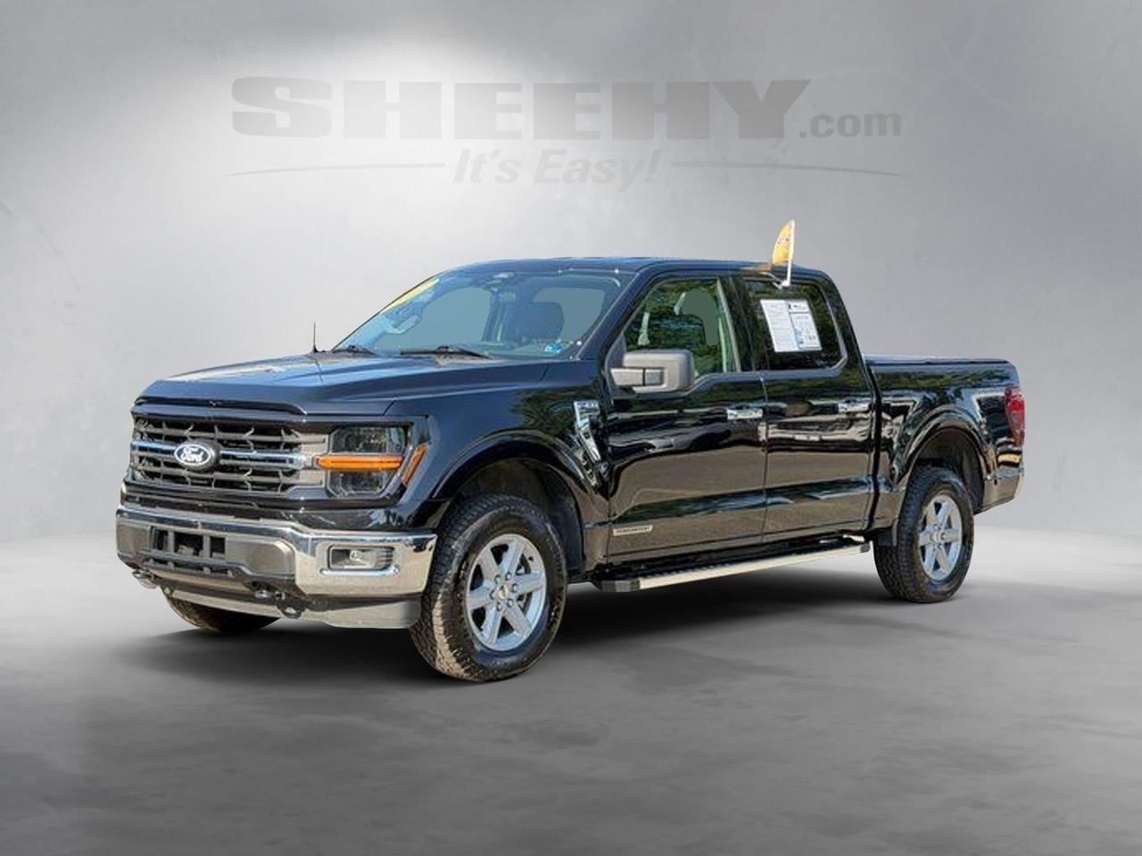 2025 Ford F-150 XLT Springfield VA