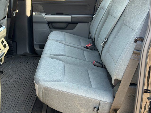 2025 Ford F-150 XLT Springfield VA