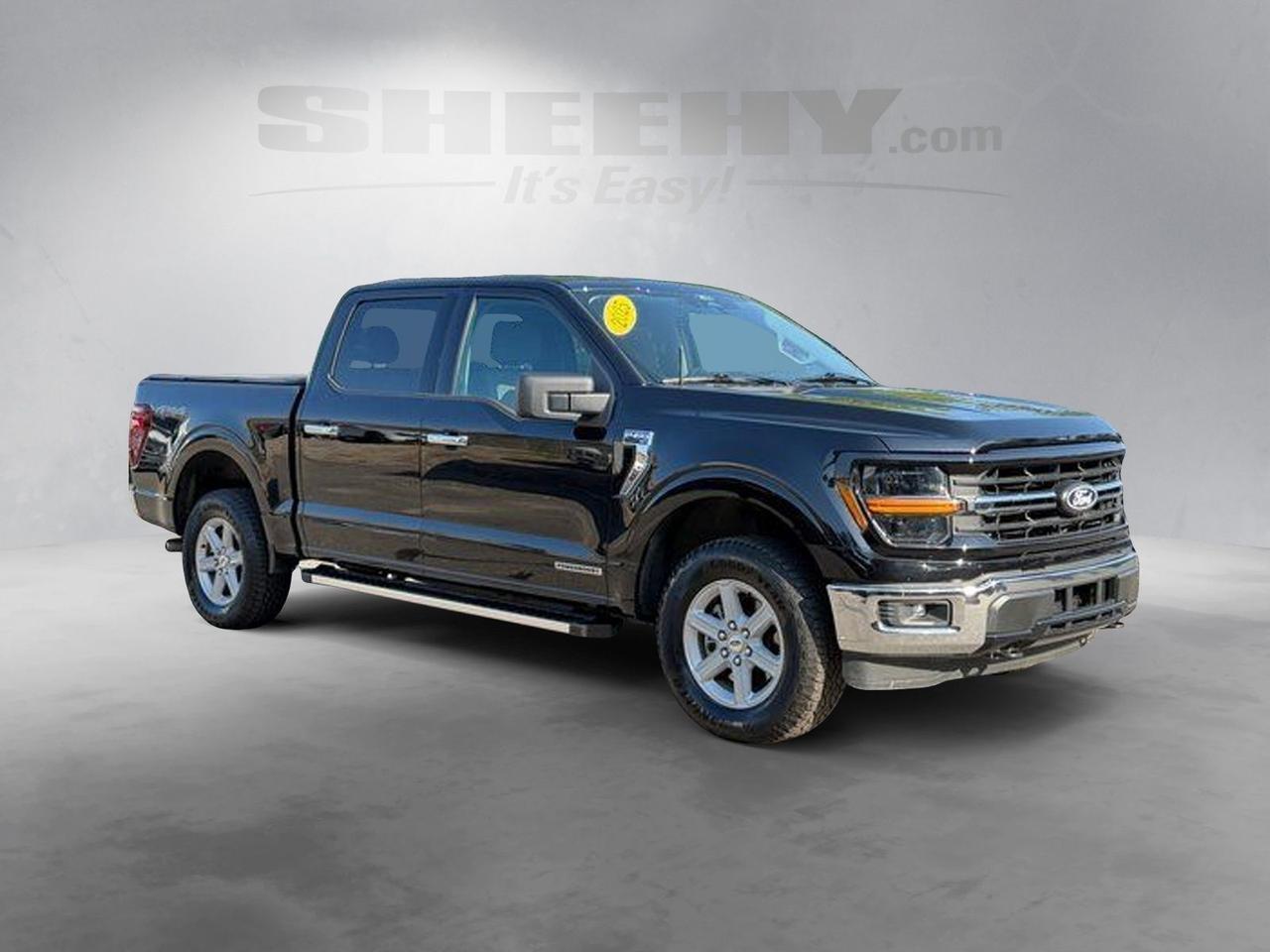 2025 Ford F-150 XLT Springfield VA