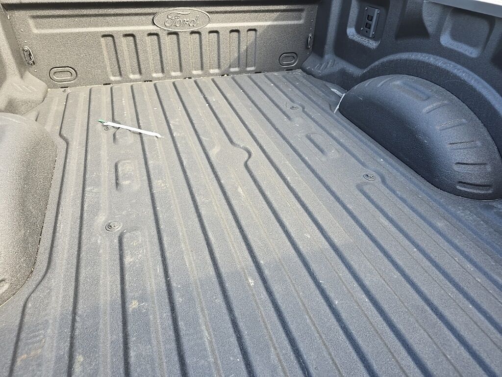 2025 Ford F-250 Super Duty 4x4 Crew Cab Platinum Fond du Lac WI