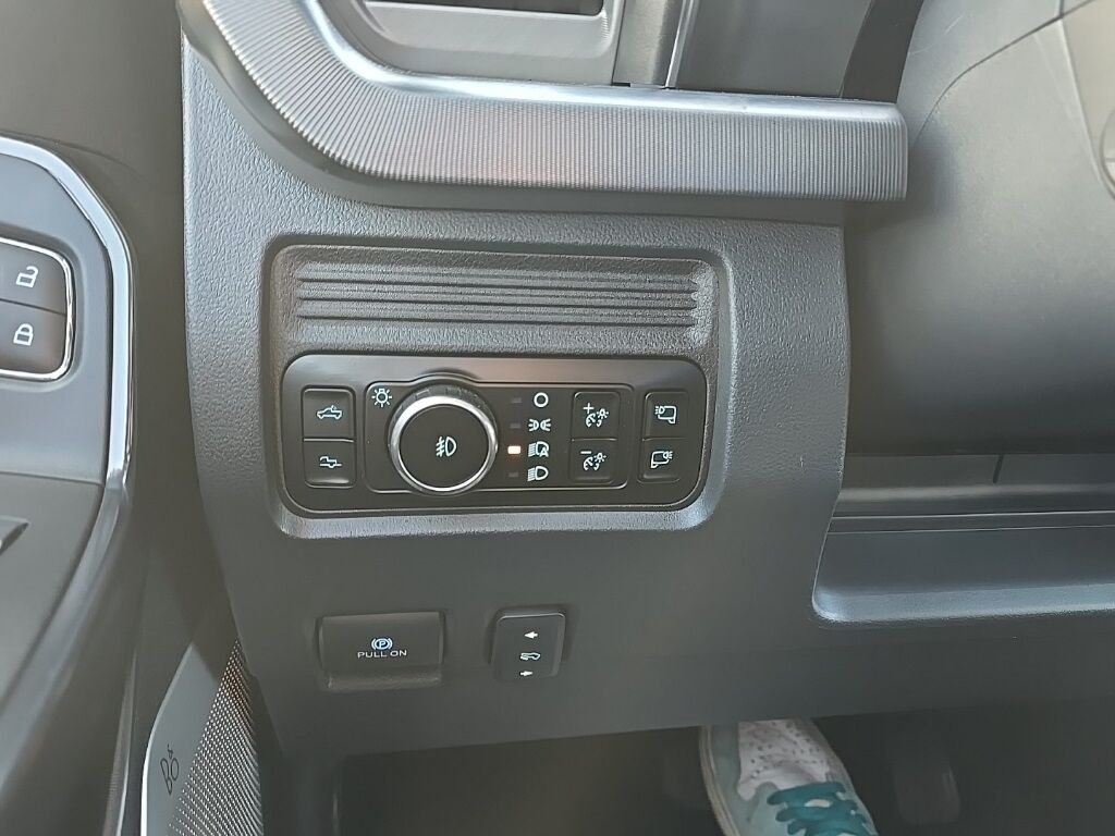 2025 Ford F-250 Super Duty 4x4 Crew Cab Platinum Fond du Lac WI