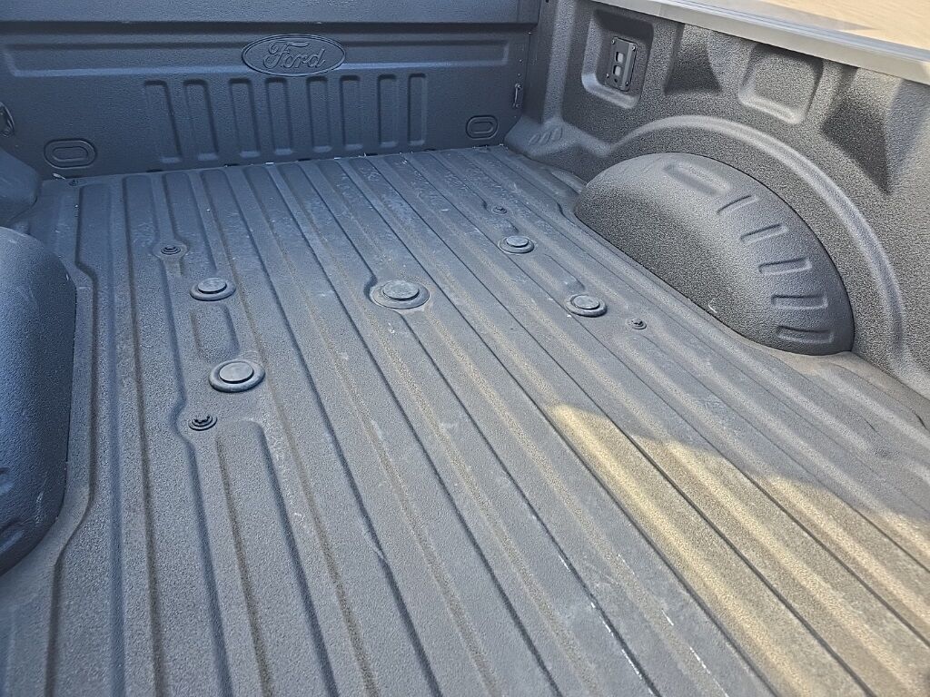 2025 Ford F-250 Super Duty 4x4 Crew Cab Platinum Fond du Lac WI