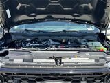 2025 Ford F-250SD Lariat San Diego County CA
