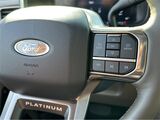 2025 Ford F-250SD Platinum San Diego County CA