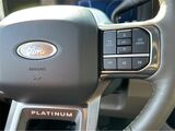 2025 Ford F-250SD Platinum San Diego County CA