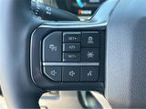 2025 Ford F-250SD Platinum San Diego County CA