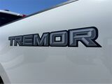 2025 Ford F-250SD Platinum San Diego County CA