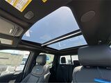 2025 Ford F-250SD Platinum San Diego County CA