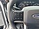 2025 Ford F-250SD XL Milwaukee WI
