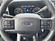 2025 Ford F-250SD XLT Milwaukee WI