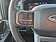 2025 Ford F-350 SRW Super Duty 4x4 Crew Cab Lariat Fond du Lac WI