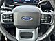 2025 Ford F-350SD Lariat Oshkosh WI