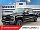 2025 Ford F-350SD Plati Oshkosh WI