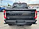 2025 Ford F-350SD Plati Oshkosh WI