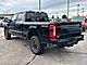 2025 Ford F-350SD Plati Oshkosh WI