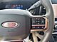 2025 Ford F-350SD Platinum Milwaukee WI