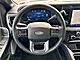 2025 Ford F-350SD Platinum Oshkosh WI
