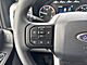 2025 Ford F-350SD XL Milwaukee WI