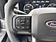 2025 Ford F-350SD XL Milwaukee WI