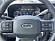 2025 Ford F-350SD XL Milwaukee WI