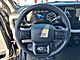 2025 Ford F-350SD XLT Oshkosh WI