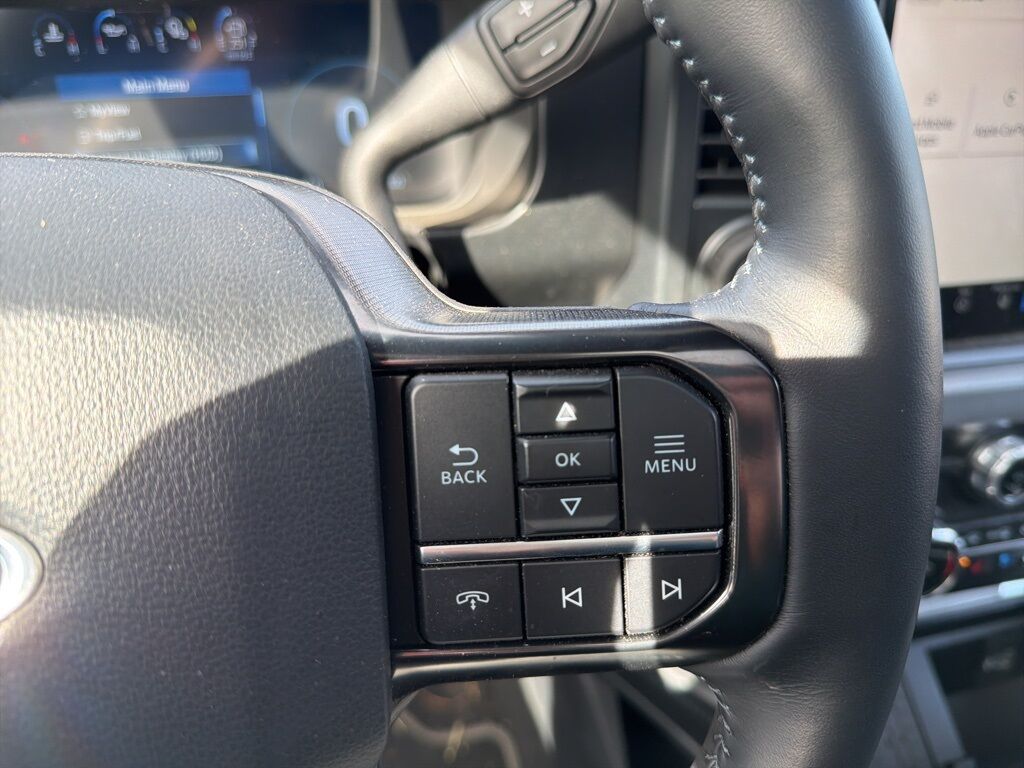 2025 Ford F-450 Super Duty 4x4 Crew Cab Platinum DRW Minocqua WI