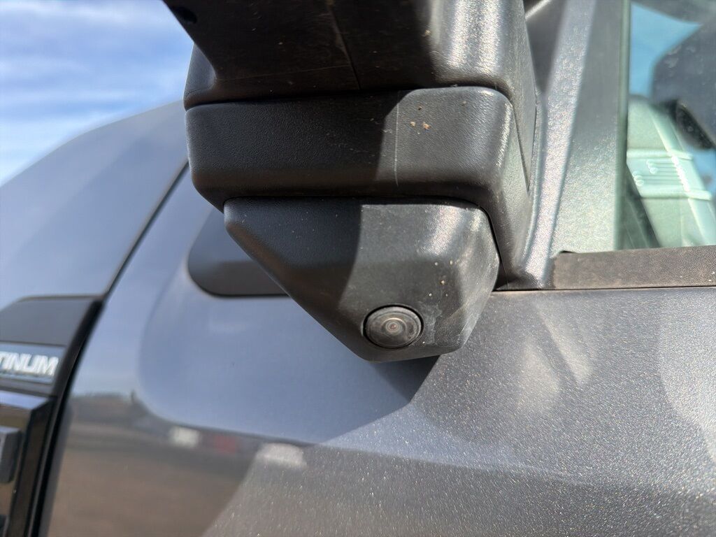 2025 Ford F-450 Super Duty 4x4 Crew Cab Platinum DRW Minocqua WI