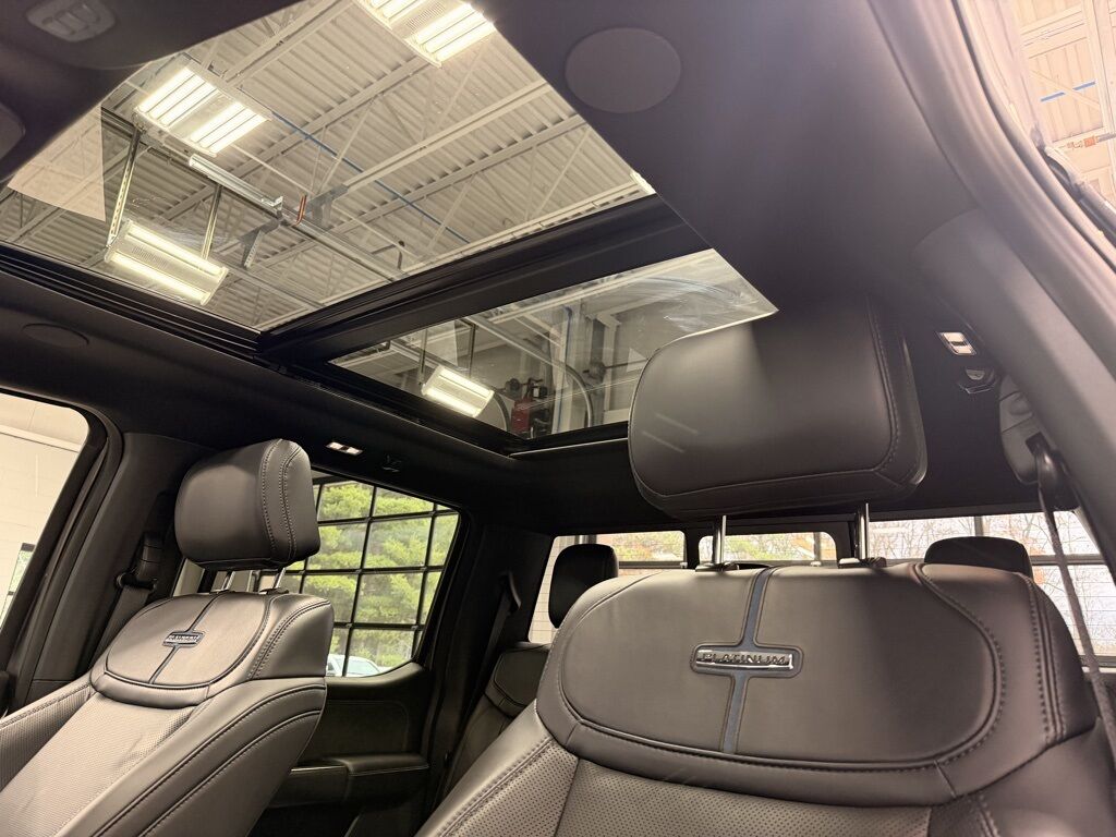 2025 Ford F-450 Super Duty 4x4 Crew Cab Platinum DRW Minocqua WI