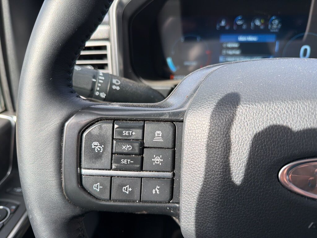 2025 Ford F-450 Super Duty 4x4 Crew Cab Platinum DRW Minocqua WI