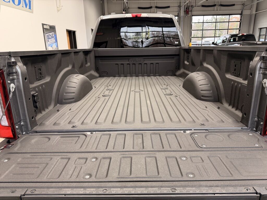 2025 Ford F-450 Super Duty 4x4 Crew Cab Platinum DRW Minocqua WI