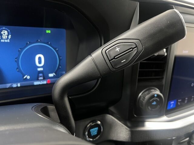 2025 Ford F-450SD Platinum Highlands Ranch CO