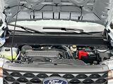 2025 Ford Maverick XLT San Diego County CA