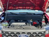 2025 Ford Maverick XLT San Diego County CA