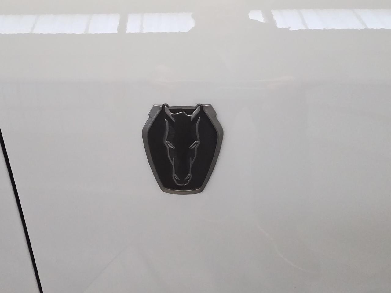 2025 Ford Mustang Dark Horse Sand Lake NY