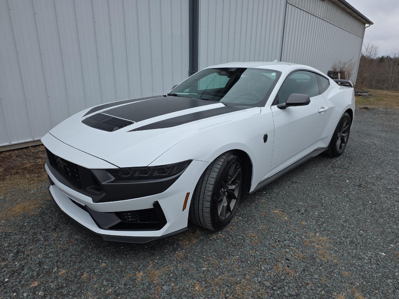 2025 Ford Mustang Dark Horse Sand Lake NY