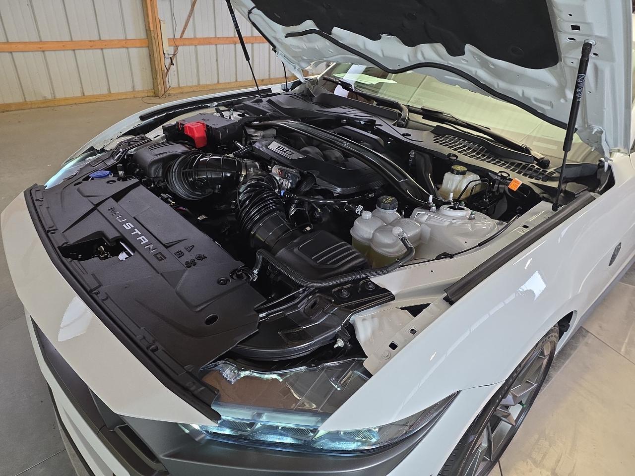 2025 Ford Mustang Dark Horse Sand Lake NY