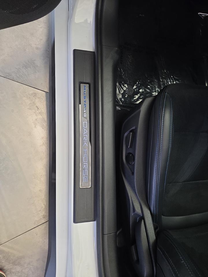 2025 Ford Mustang Dark Horse Sand Lake NY