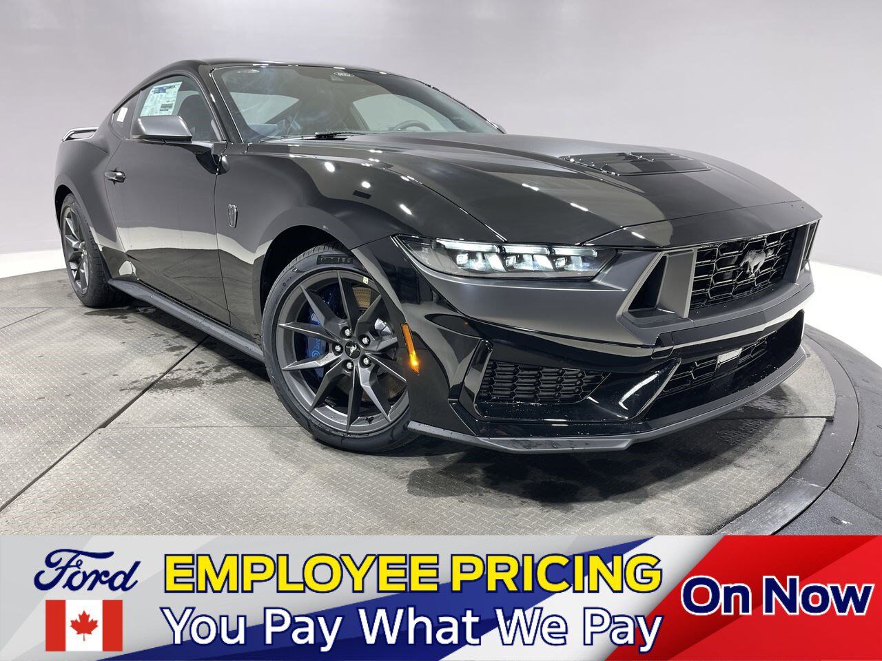 2025 Ford Mustang Dark Horse Sherwood Park AB